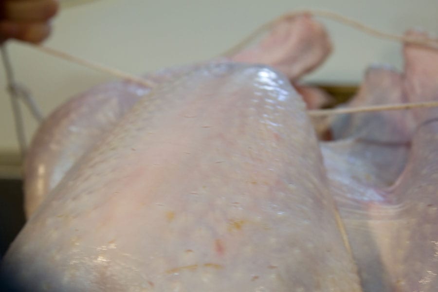 How to Prep, Season and Stuff a Turkey / What's Gaby Cooking