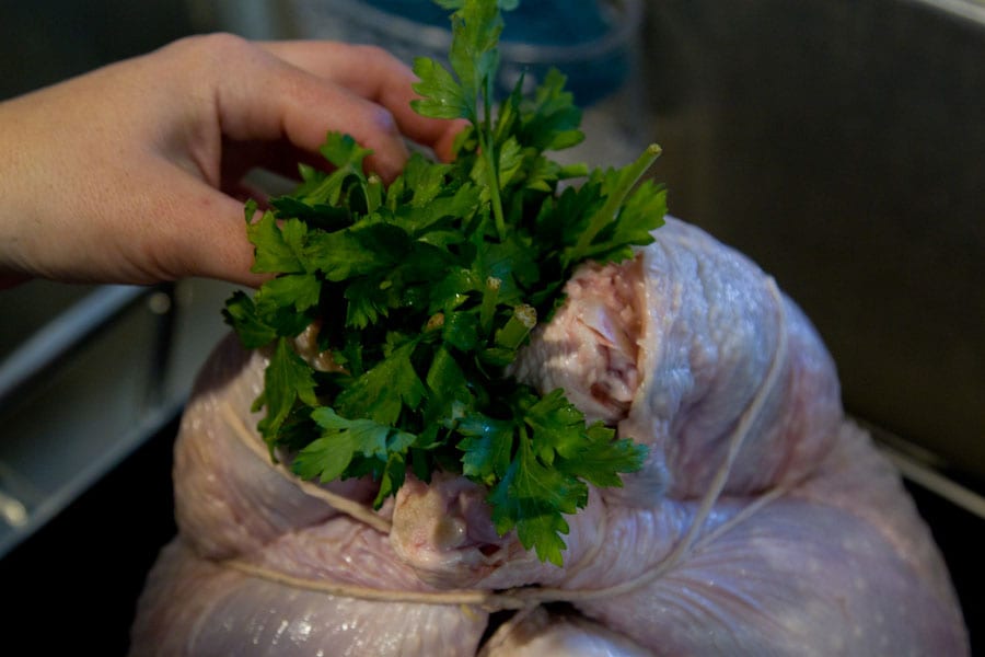 How to Prep, Season and Stuff a Turkey / What's Gaby Cooking