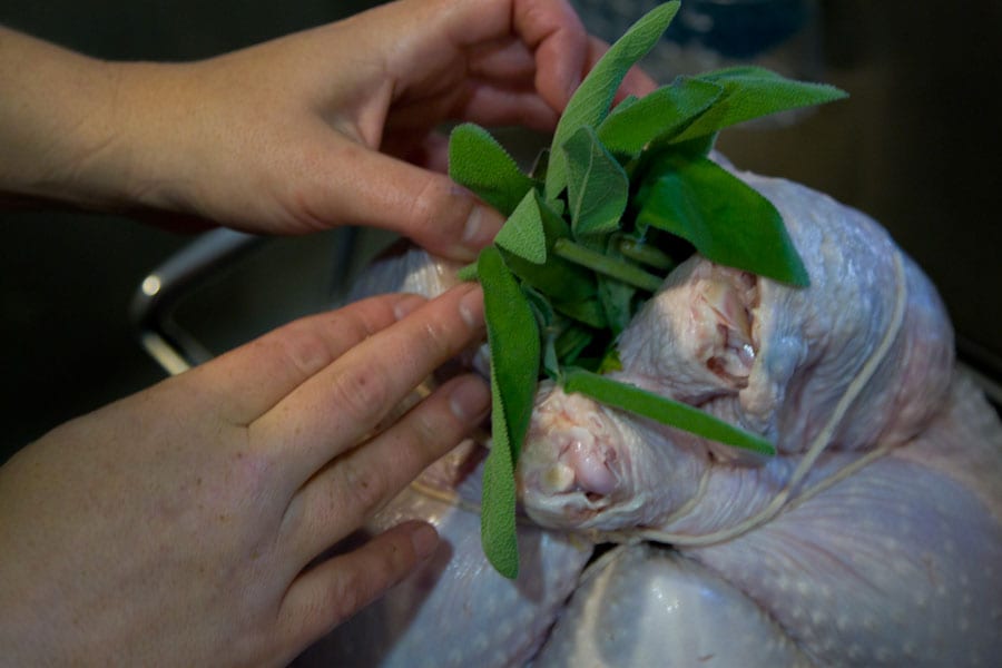 How to Prep, Season and Stuff a Turkey / What's Gaby Cooking