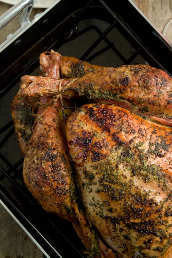 How to Prep, Season and Stuff a Turkey / What's Gaby Cooking
