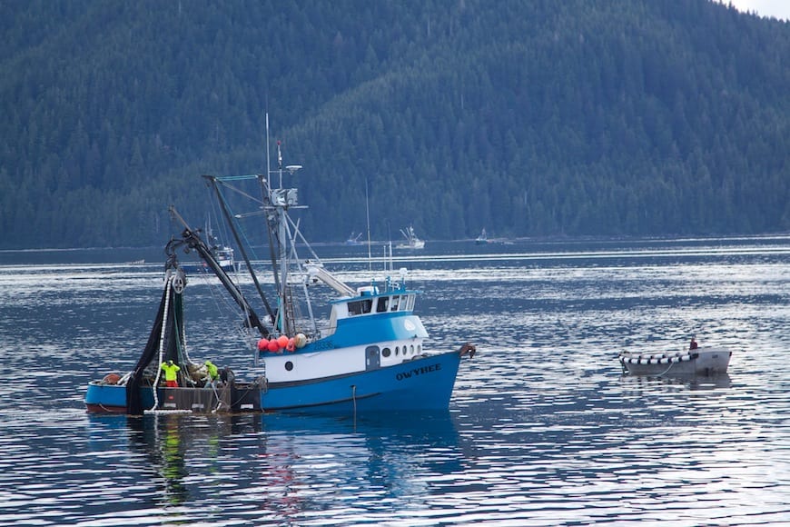 National Geographic Lindblad Alaskan Expedition Salmon Fishing