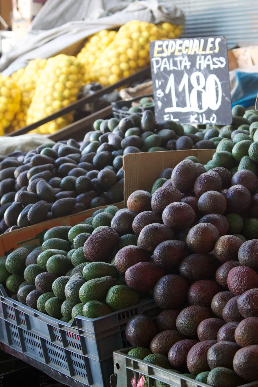 Vega Market Santiago, Chile