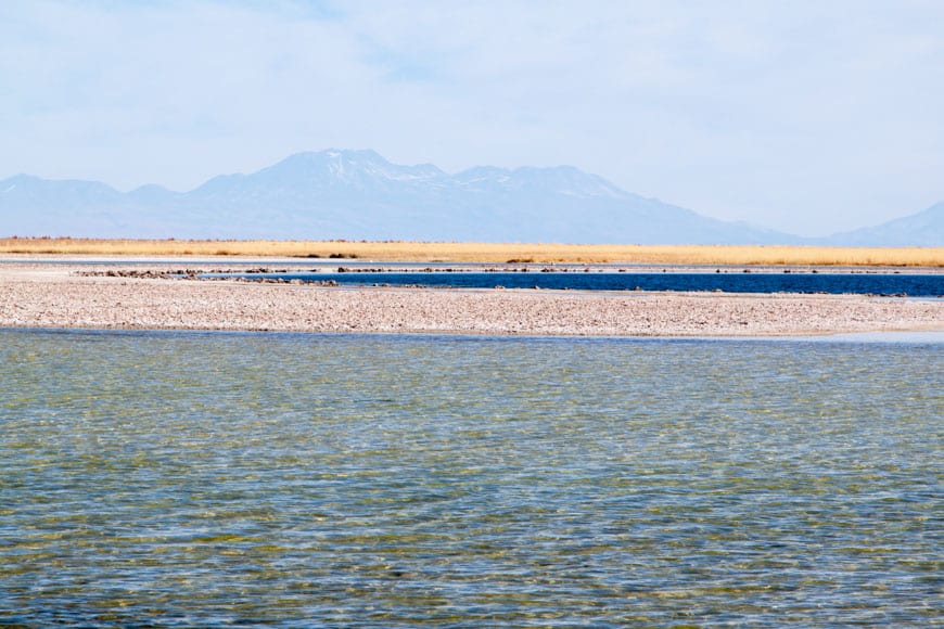 Salt Flats, Atacama Desert