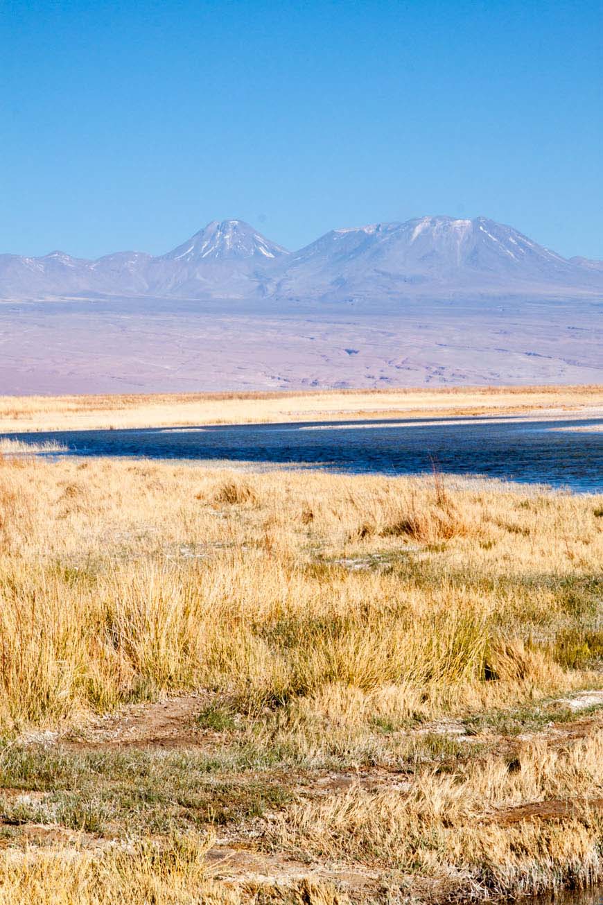 Salt Flats, Atacama Desert