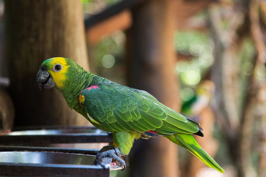 Hotel Das Cataratacs