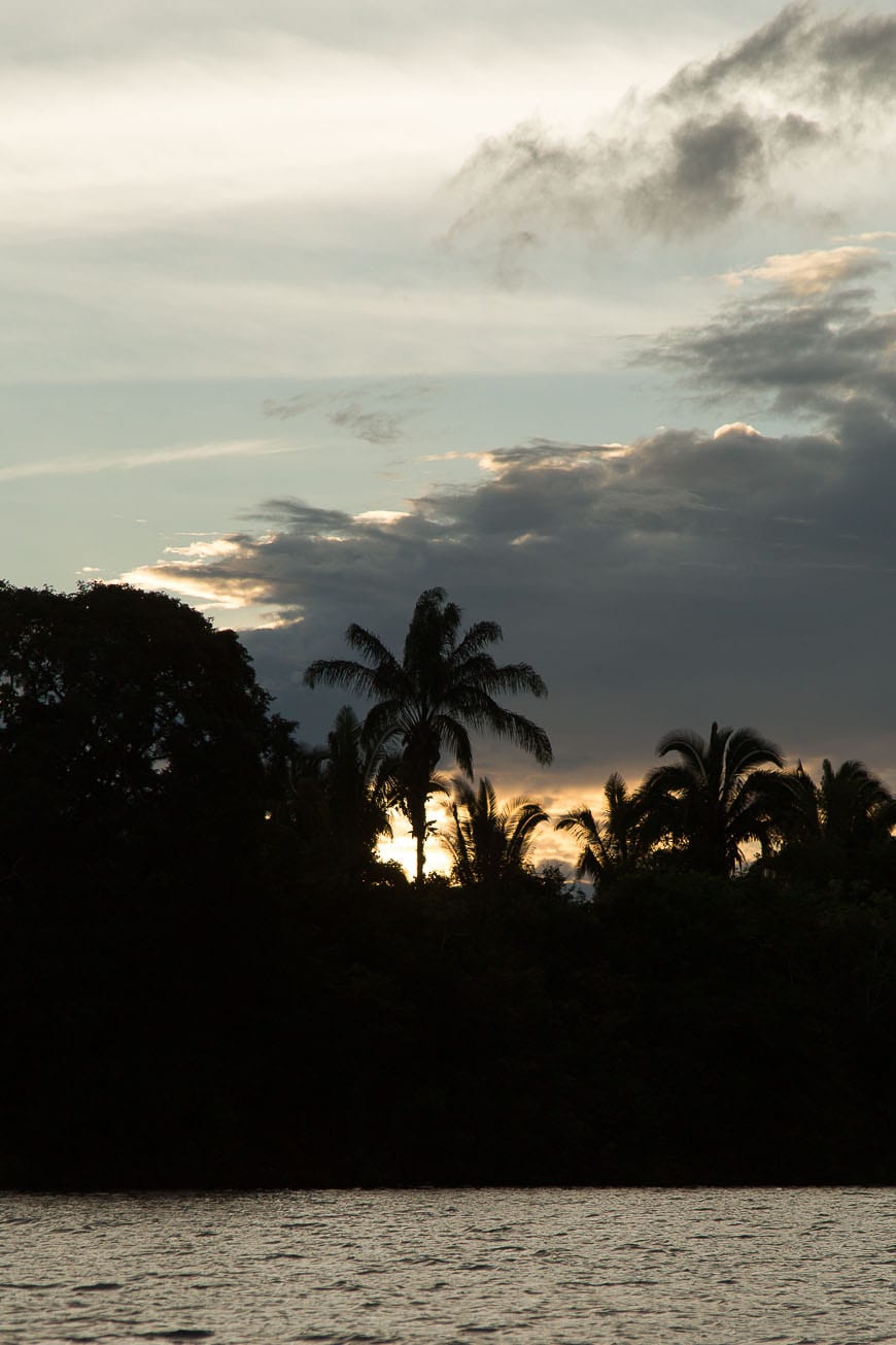 Sunset in the Amazon Rainforest