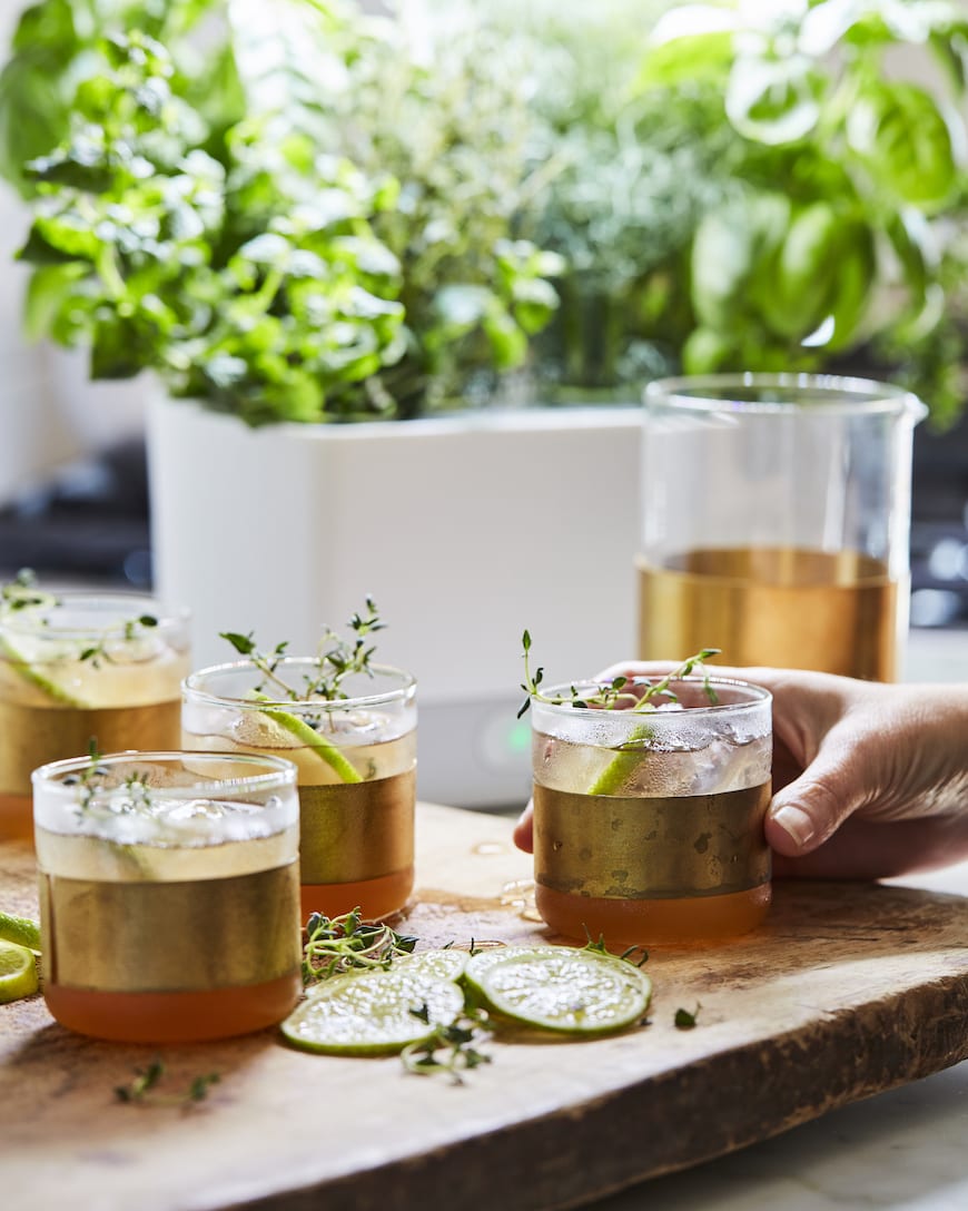 Thyme Apple Cider Spritz from www.whatsgabycooking.com (@whatsgabycookin)