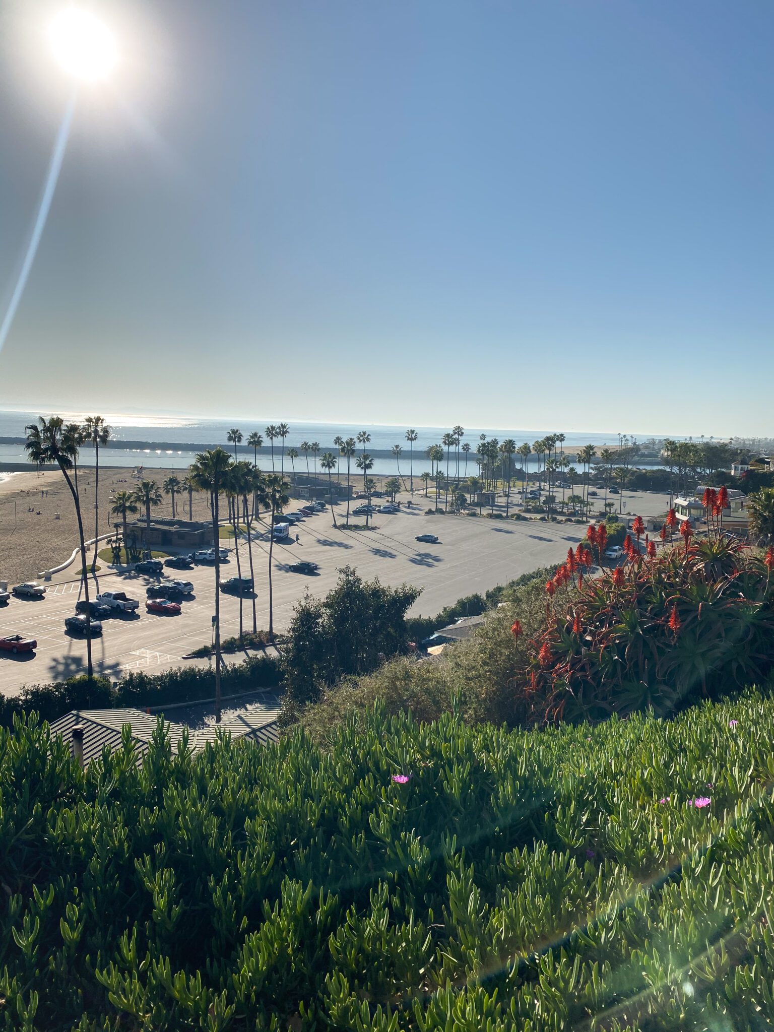 Corona Del Mar Beach Guide to Newport