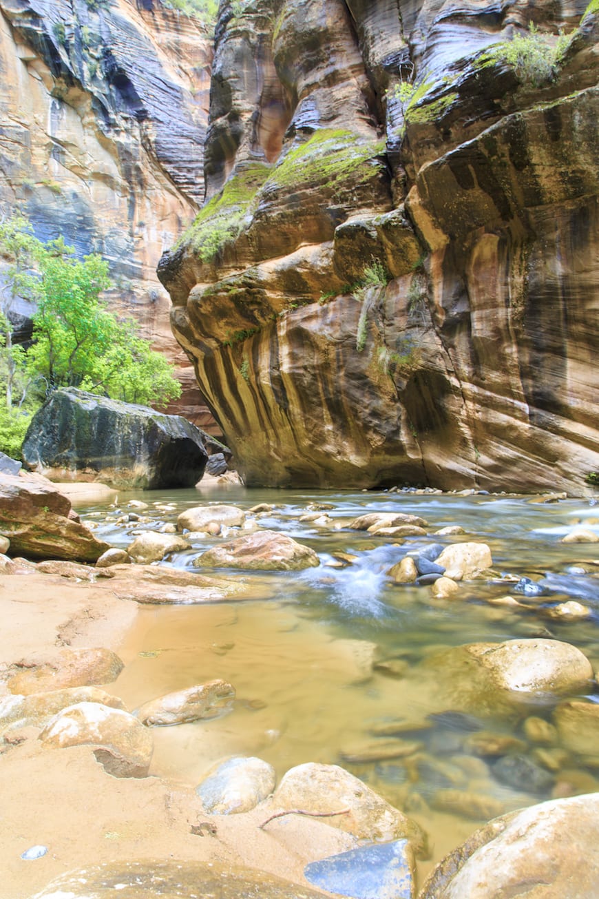 Gaby's Guide to Zion